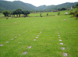 Coroa de Flores Funerária Anjos Assistência (Ferraz de Vasconcelos/SP)